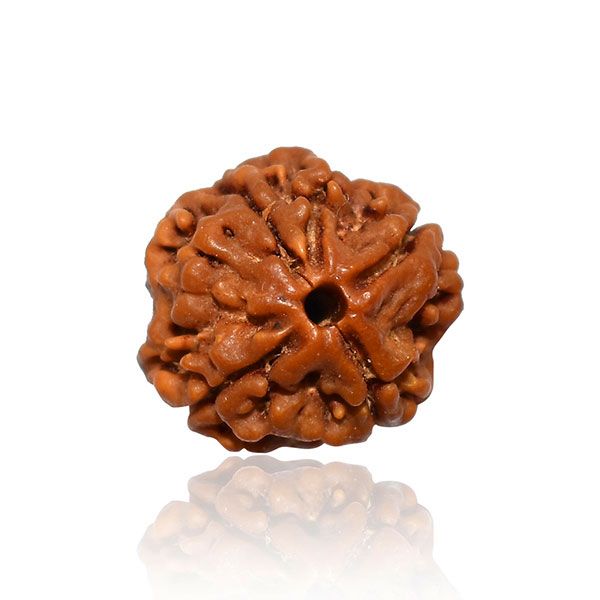 4 MUKHI